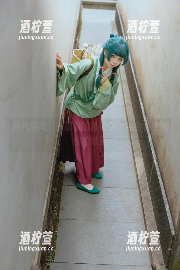 图片旋风：矢量鱼的椿导游，隐约有点私房的味道
